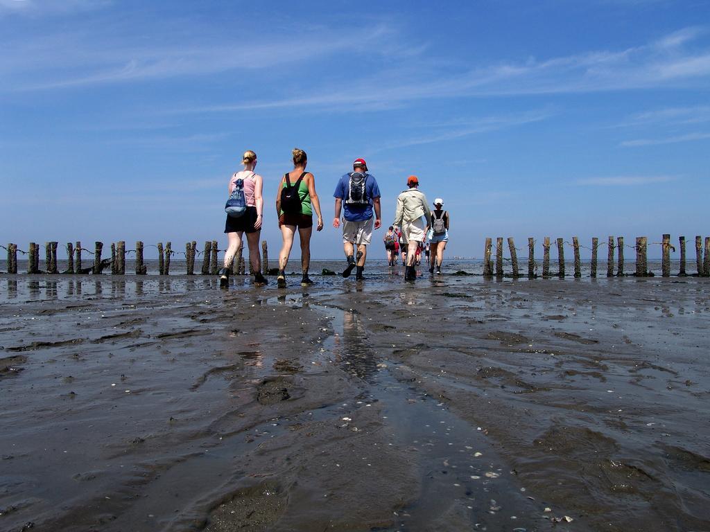 Hotel Waddengenot Pieterburen Εξωτερικό φωτογραφία