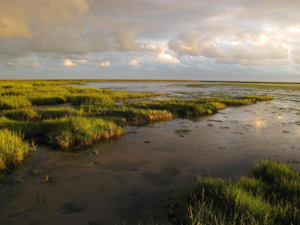 Hotel Waddengenot Pieterburen Εξωτερικό φωτογραφία